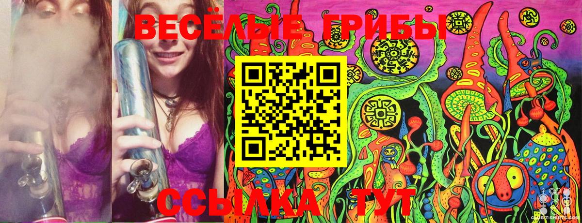 Галлюциногенные грибы Psilocybine cubensis  Вход с VPN  Куйбышев 